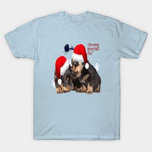 Holiday Ready Rottweilers A Puppy First Christmas T-Shirt